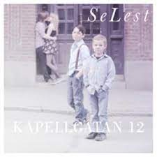 Selest - Kapellgatan 12 (LP)