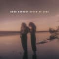 Pikkukuva 1 / 2: GOOD HARVEST - DREAM OF JUNE (LP)