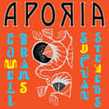 Pikkukuva 2 / 2: Sufjan Stevens & Lowell Brams - Aporia (LP)