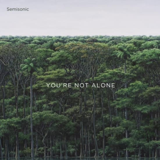 Semisonic - You're Not Alone (Maxisingle)