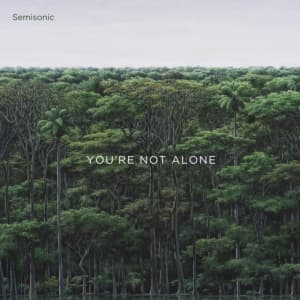 Semisonic - You're Not Alone (Maxisingle)