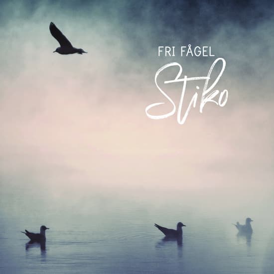 Stiko Per Larsson - Fri Fågel (LP)