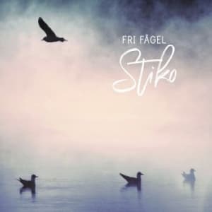 Stiko Per Larsson - Fri Fågel (LP)