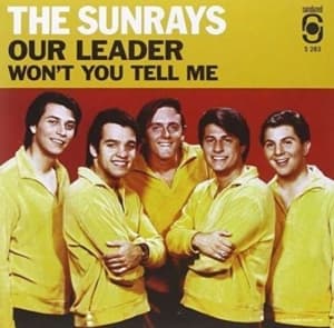 Sunrays The - Our Leader / Won't You Tell Me (Gol (Vinylsingle)