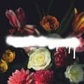 Pikkukuva 1 / 2: Grande Roses - Built On Schemes (LP)