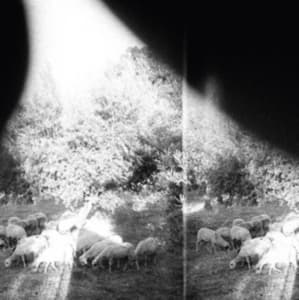 Godspeed You! Black Emperor - Asunder, Sweet And Other Distress ( (LP)