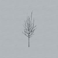 Low - Ones And Sixes (LP)