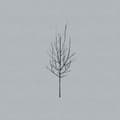 Miniatyrbillede 1 af 2: Low - Ones And Sixes (LP)