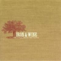 Iron & Wine - Creek Drank The Cradle (LP)