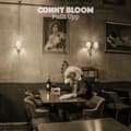 Pikkukuva 1 / 2: Bloom Conny - Fullt Upp (LP)