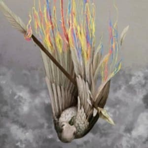 Henrietta - Paper Wings (LP)
