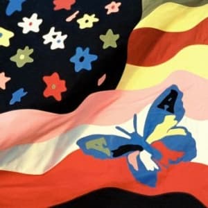 Avalanches The - Wildflower (Deluxe Version) (LP+CD)