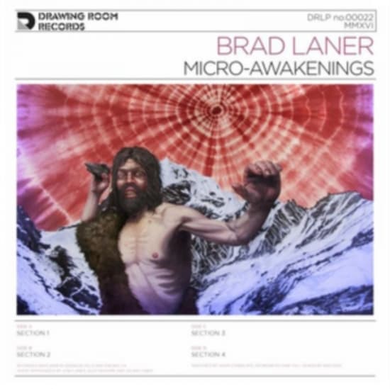 Laner Brad - Micro-Awakenings (LP)