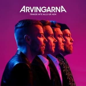 Arvingarna - Tänker inte alls gå hem (LP)