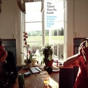 Tallest Man On Earth - Sometimes The Blues Is Just A Passi (LP)