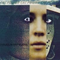 Cat Power - What Would The Community Think? (LP)