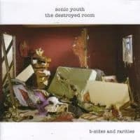 Sonic Youth - Destroyed Room: B-Sides (LP)