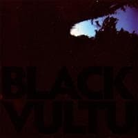 Norgren Daniel - Black Vultures (10") (LP)