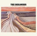 Pikkukuva 2 / 2: Deslondes The - Hurry Home (LP)