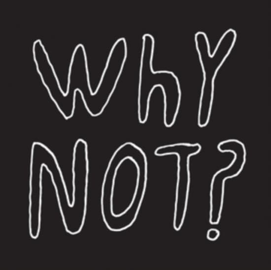 Half Japanese - Why Not? (LP)