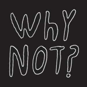 Half Japanese - Why Not? (LP)
