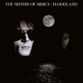 Pikkukuva 1 / 2: Sisters Of Mercy - Floodland (LP)