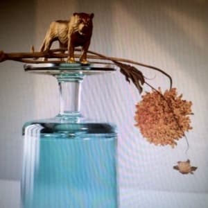 Beirut - Gallipoli (LP)