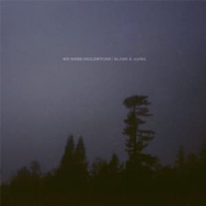 We Were Skeletons - Blame & Aging (LP)