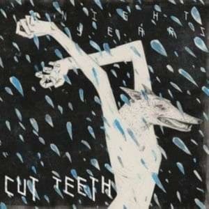 Cut Teeth - Night Years (LP)
