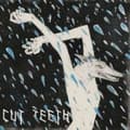 Miniatyrbilde 1 av 2: Cut Teeth - Night Years (LP)