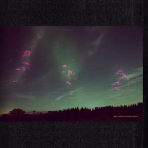 Daniel Norgren - Skogens Frukter (LP)
