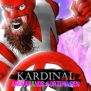 Kardinal Synd - Andrahandssorteringen (LP)