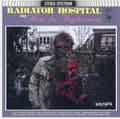 Miniatyrbillede 2 af 2: Radiator Hospital - Sings 'Music For Daydreaming' (LP)