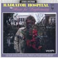 Miniatyrbillede 1 af 2: Radiator Hospital - Sings 'Music For Daydreaming' (LP)