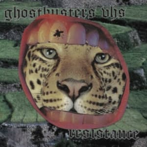 Ghostbusters Vhs - Resistance (LP)