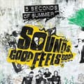 Miniatyrbillede 2 af 2: 5 Seconds Of Summer - Sounds Good Feels Good (Vinyl) US Import (LP)
