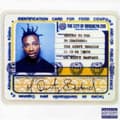 Miniatyrbilde 1 av 2: Ol' Dirty Bastard - Return to the 36 Chambers (LP)