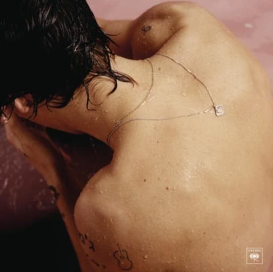 Styles Harry - Harry Styles (LP)