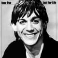 Pikkukuva 1 / 2: Iggy Pop - Lust For Life (Vinyl) (LP)
