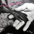 Pikkukuva 1 / 2: Dead Kennedys - Plastic Surgery Disasters (LP)