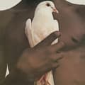 Pikkukuva 2 / 2: Santana - Greatest Hits (1974) (LP)