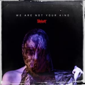 Slipknot - We Are Not Your Kind (Vinyl) (LP)