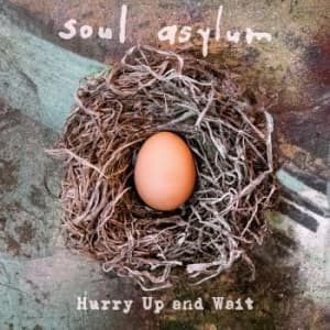 Soul Asylum - Hurry Up And Wait (2Lp+7")