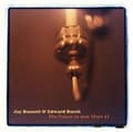 Miniatyrbillede 1 af 2: Bennett Jay & Edward Burch - The Palace At 4Am (Cloudy Clear Vin (LP)