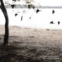 The Tallest Man On Earth - There's No Leaving Now (LP)