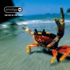 The Prodigy - Fat Of The Land (Reissue) (LP)