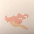 Miniatyrbillede 1 af 2: WON - Silent Decade (LP)