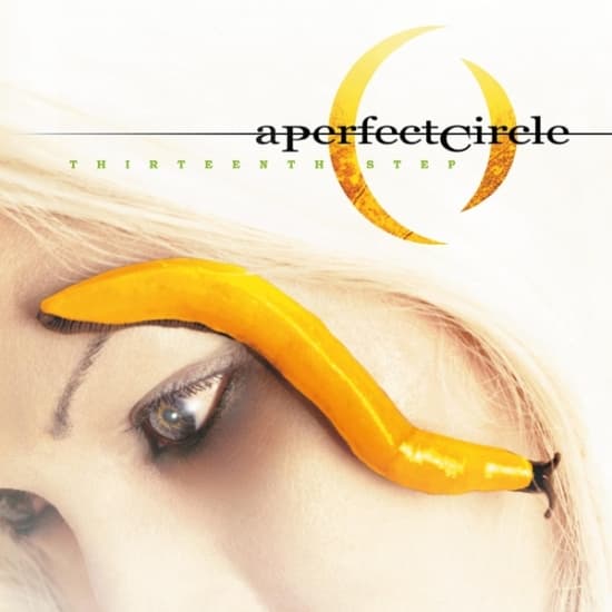A Perfect Circle - Thirteenth Step (LP)