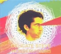 Delicate Steve - Wondervisions (LP)