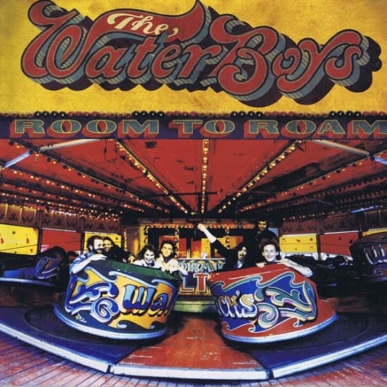 The Waterboys - Room To Roam (LP)